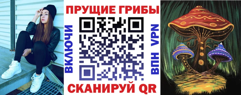 Купить закладки  Похвистнево  Галлюциногенные грибы мухоморы 